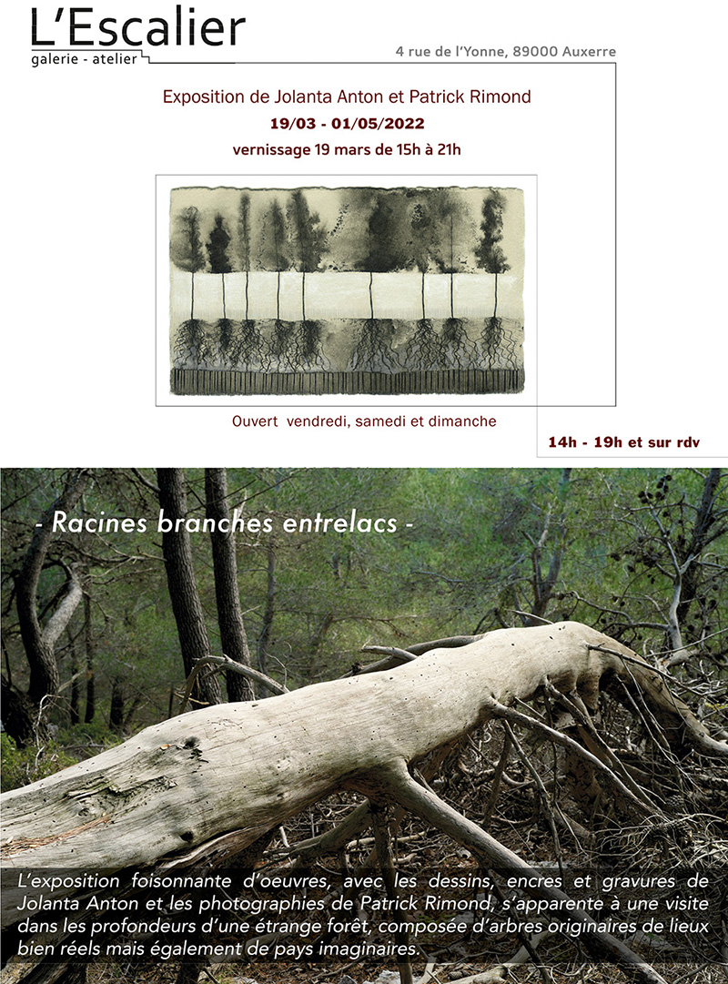 exposition d'ouevres d'art sur le thème des  arbres